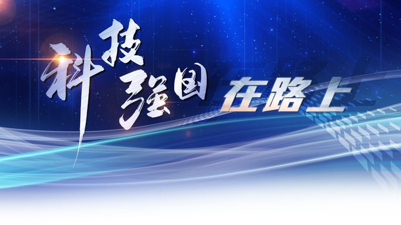 数据仓库分层设计：构建高效数据管理体系的步骤解析**